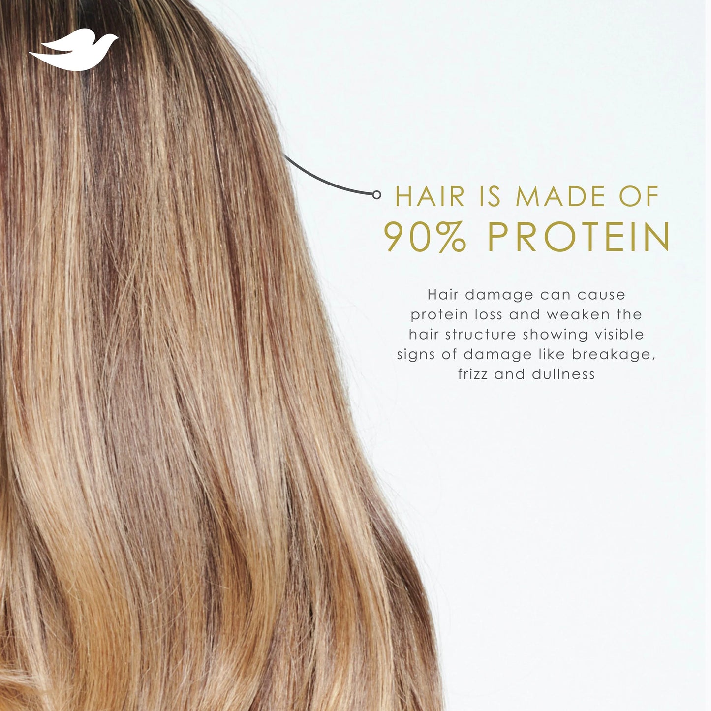 Conditioner Bond Strength with Bio-Protein Care Technology & Peptide Complex, 12 Oz