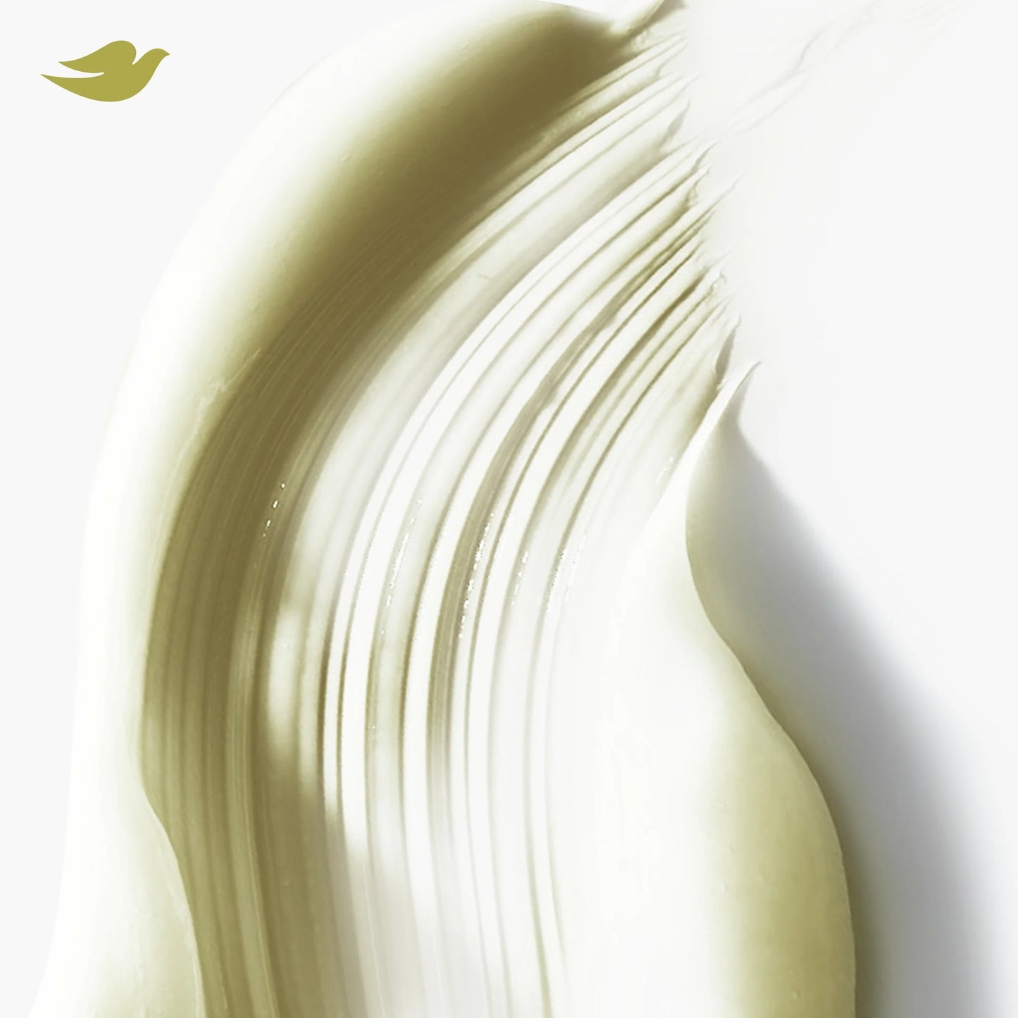 Conditioner Bond Strength with Bio-Protein Care Technology & Peptide Complex, 12 Oz