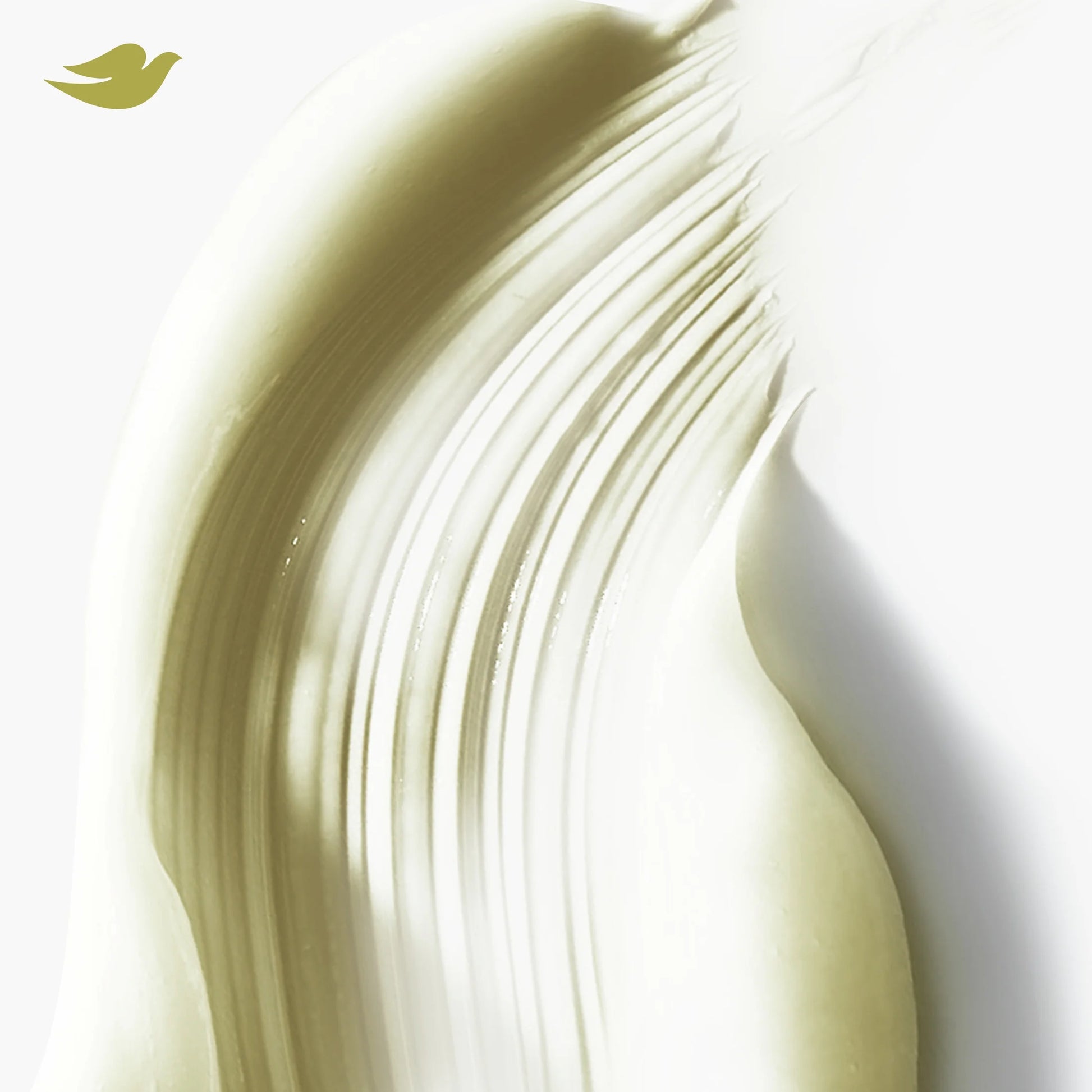 Conditioner Bond Strength with Bio-Protein Care Technology & Peptide Complex, 12 Oz