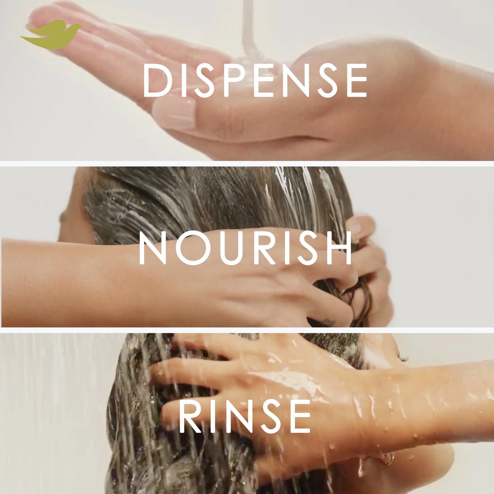 Conditioner Bond Strength with Bio-Protein Care Technology & Peptide Complex, 12 Oz