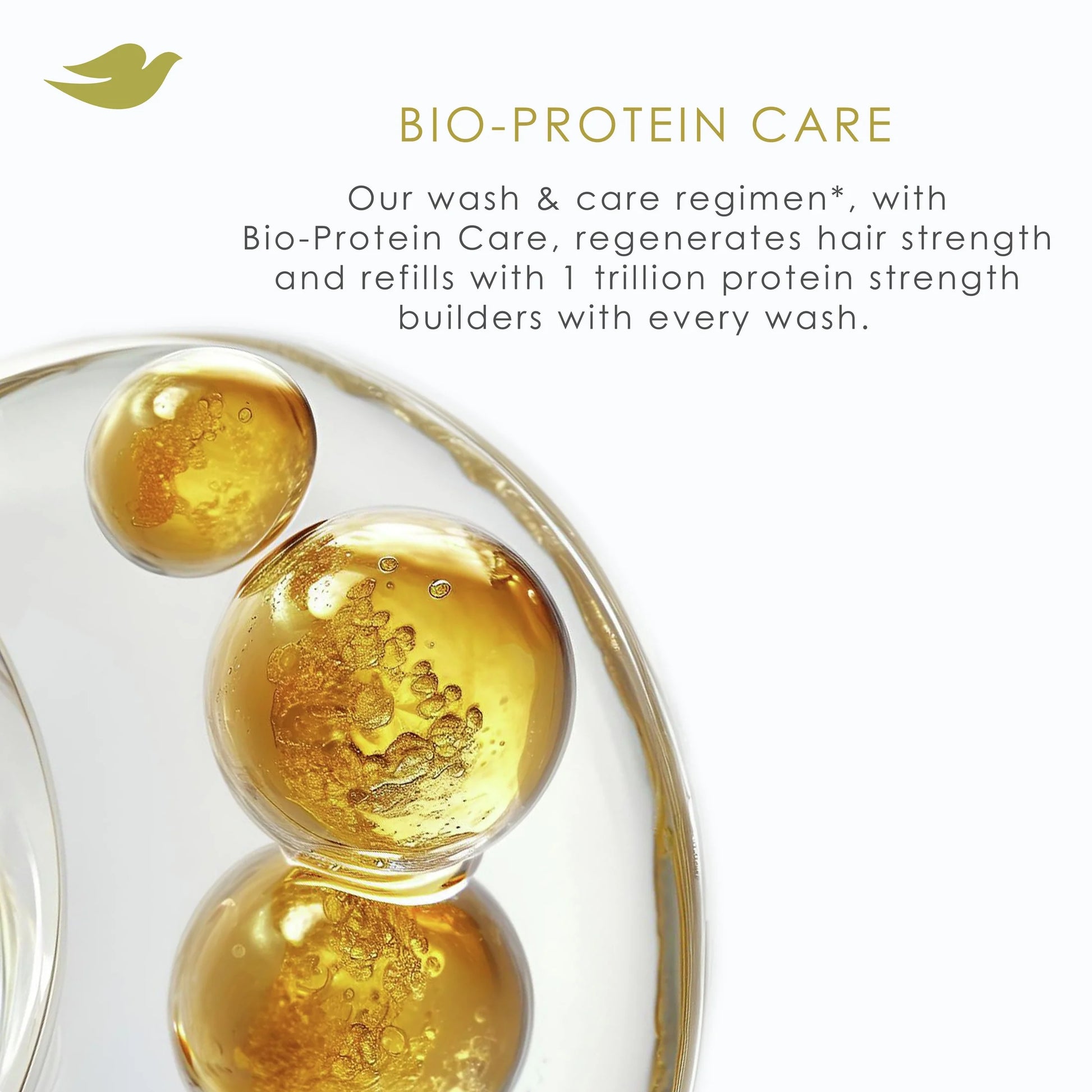 Conditioner Bond Strength with Bio-Protein Care Technology & Peptide Complex, 12 Oz