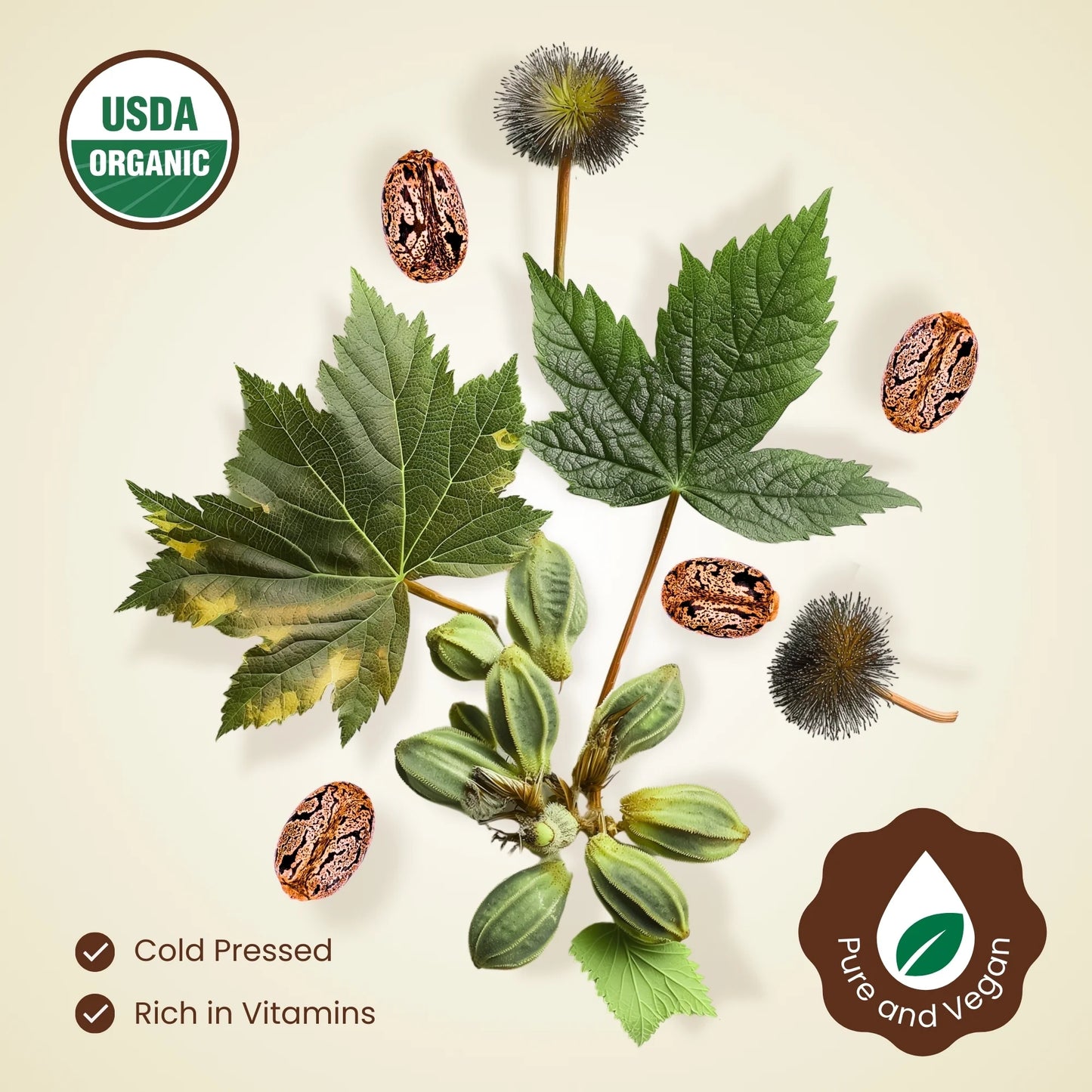 Natural Organic Castor Hair Oil, 4 Fl Oz, Dropper Bottle