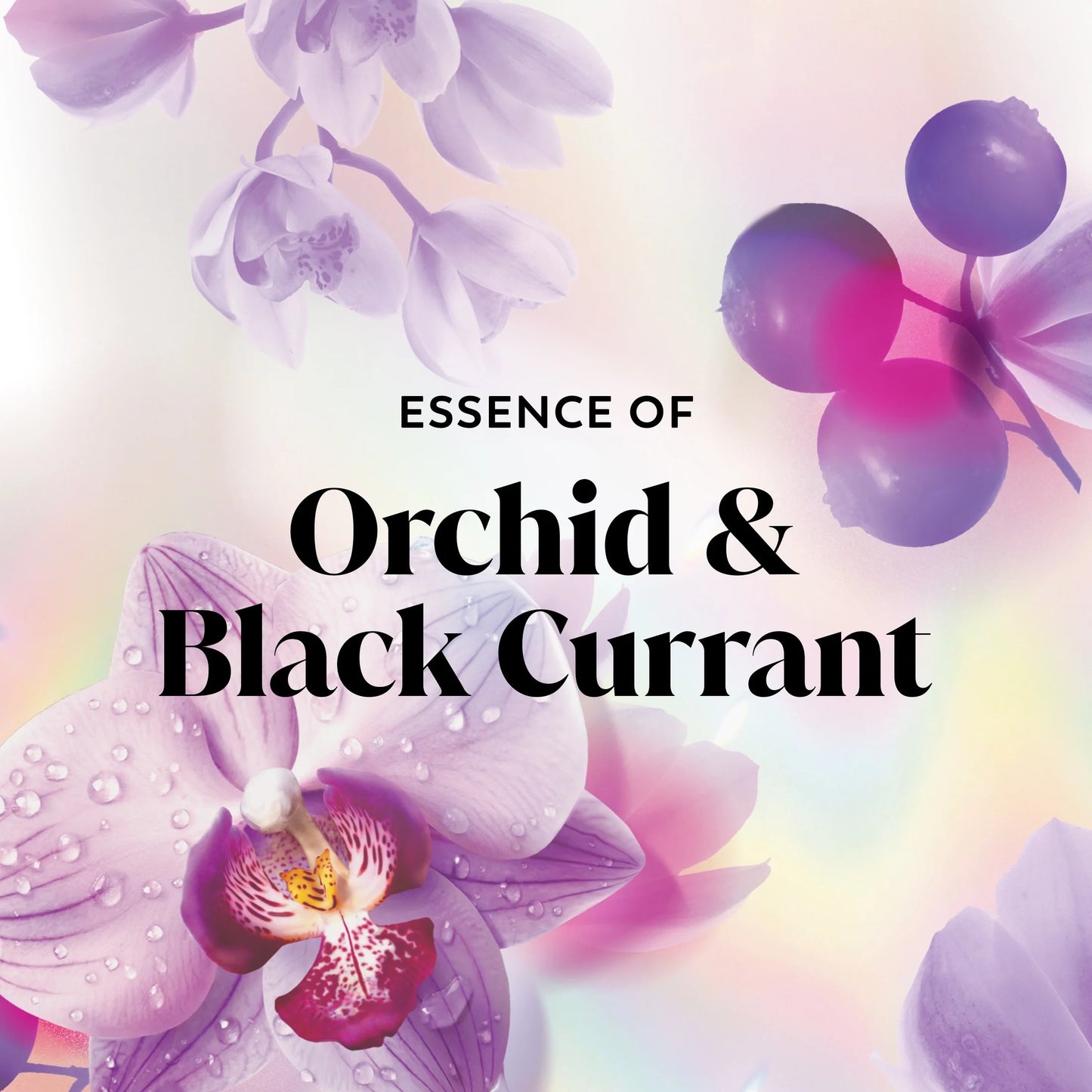 Fresh Outlast Body Wash, Orchid & Black Currant, for All Skin Types, 22 Fl Oz